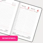 Թվականագրված օրագիր BRAUBERG Profile A5 (Կապույտ - 2026թ) - BRAUBERG (SKU: 117073) - Image 16 of 16 | Zangezur Pro
