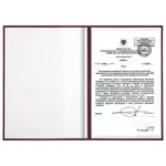Հասցեական թղթապանակ STAFF Basic (Բորդո, A4) - STAFF (SKU: 129634) - Image 5 of 9 | Zangezur Pro