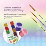 Սինթետիկ վրձինների հավաքածու BRAUBERG KIDS (3 հատ) - BRAUBERG KIDS (SKU: 201078) - Image 9 of 11 | Zangezur Pro