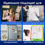 Մագնիսներ գրատախտակի համար BRAUBERG 30 մմ, 8 հատ (Տեսականի) - BRAUBERG (SKU: 230758) - Image 8 of 8 | Zangezur Pro
