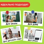 Մագնիսներ գրատախտակի համար STAFF (30 մմ, 5 հատ, տեսականի) - STAFF (SKU: 237482) - Image 8 of 8 | Zangezur Pro