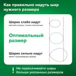 Փուչիկների դեկորատիվ հավաքածու BRAUBERG KIDS «Նրբություն» (Երկնագույն, անանուխագույն, ոսկեգույն) - BRAUBERG KIDS (SKU: 591896) - Image 13 of 15 | Zangezur Pro